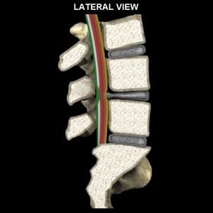 Stacks Image 3
